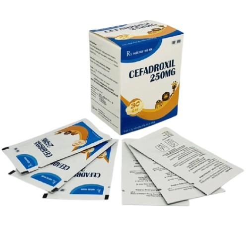 5172. Cefadroxil 250 - (Cefadroxil 250mg) - [Thùng 73 hộp; hộp 30 gói; gói 1.5 g] S.pharm - Việt Nam