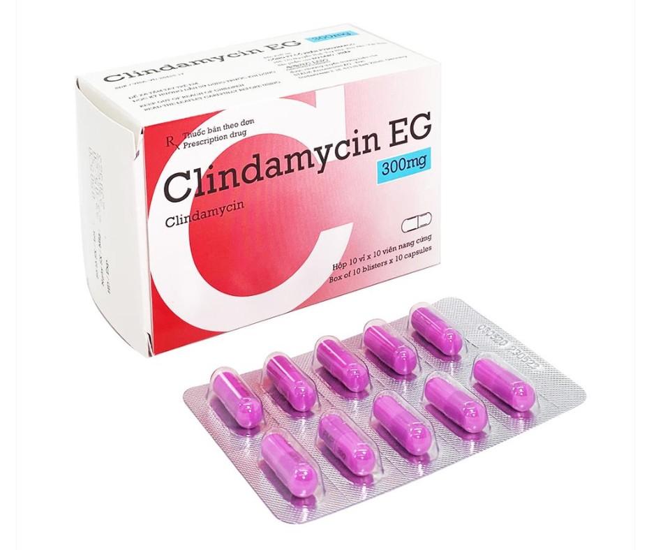 2759. Clindamycin Eg 300 - (Clindamycin 300mg) - [Thùng 108 Hộp; Hộp 10 Vỉ; Vỉ 10 Viên] Pymepharco - Việt Nam