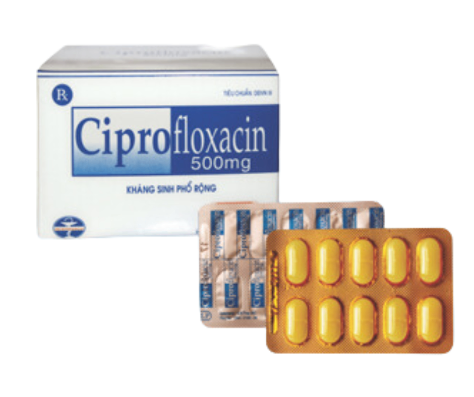 1058. Ciprofloxacin 500Mg - (Ciprofloxacin 500mg) - [Thùng 120 hộp; hộp 10 vỉ; vỉ 10 viên] Quảng Bình - Việt Nam
