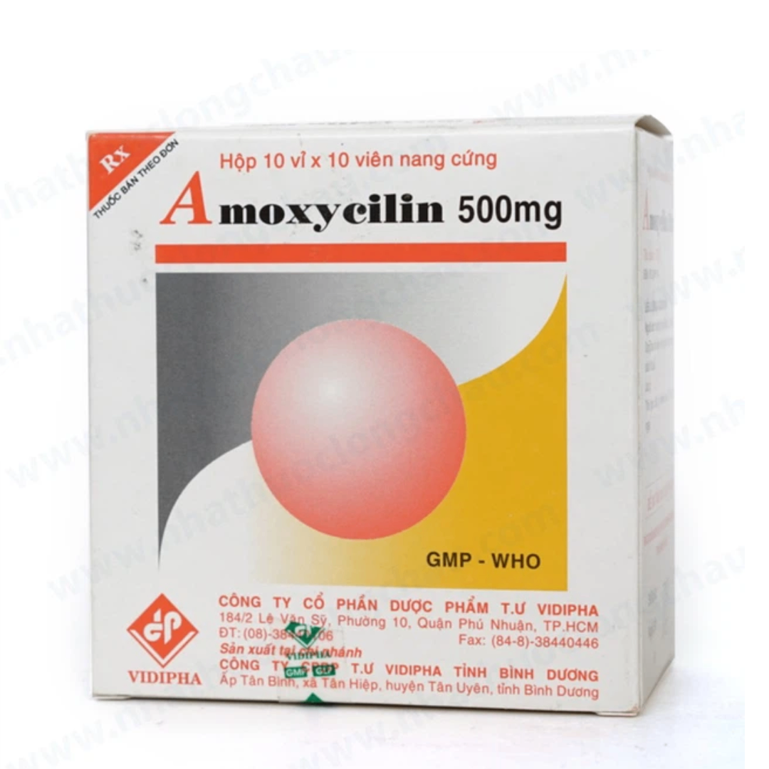 1114. Amoxycilin 500Mg - (Amoxicillin 500mg) - [Thùng 100 Hộp; Hộp 10 Vỉ; Vỉ 10 Viên] Vidipha - Việt Nam