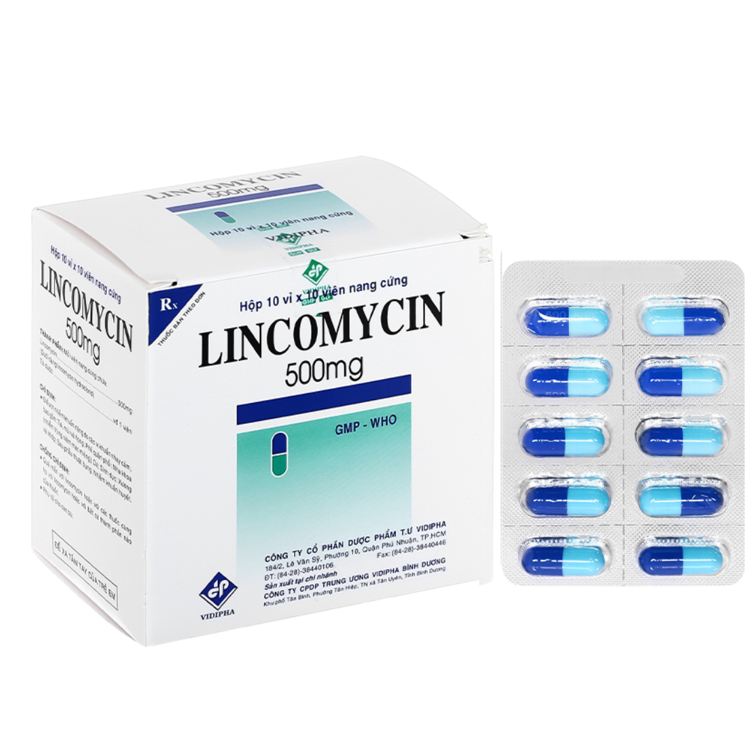 1115. Lincomycin 500Mg - (Lincomycin 500mg) - [Thùng 100 Hộp; Hộp 10 Vỉ; Vỉ 10 Viên] Vidipha - Việt Nam