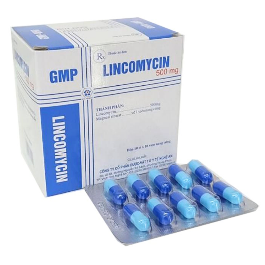 1251. Lincomicin 500Mg Na - (Lincomycin (Dưới dạng lincomycin hydroclorid) 500mg) - [Thùng 63 Hộp; Hộp 10 Vỉ; Vỉ 10 Viên] Dược - Vtyt Nghệ An