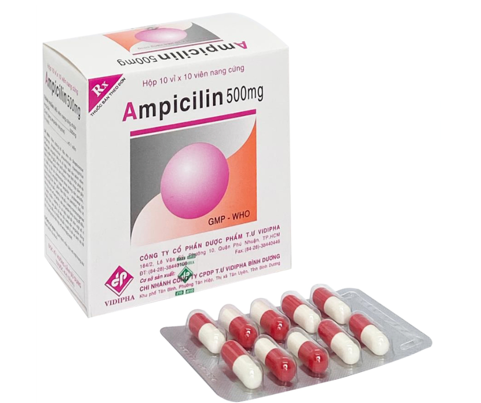 1304. Ampicilin 500Mg - (Ampicilin 500mg) - [Thùng 100 hộp; hộp 10 vỉ; vỉ 10 viên] Vidipha - Việt Nam