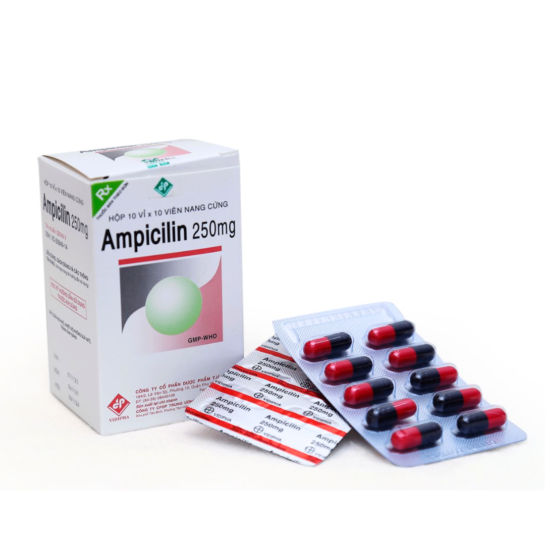 1317. Ampicilin 250Mg - (Ampicilin 250mg) - [Thùng 100 hộp; hộp 10 vỉ; vỉ 10 viên] Vidipha - Việt Nam