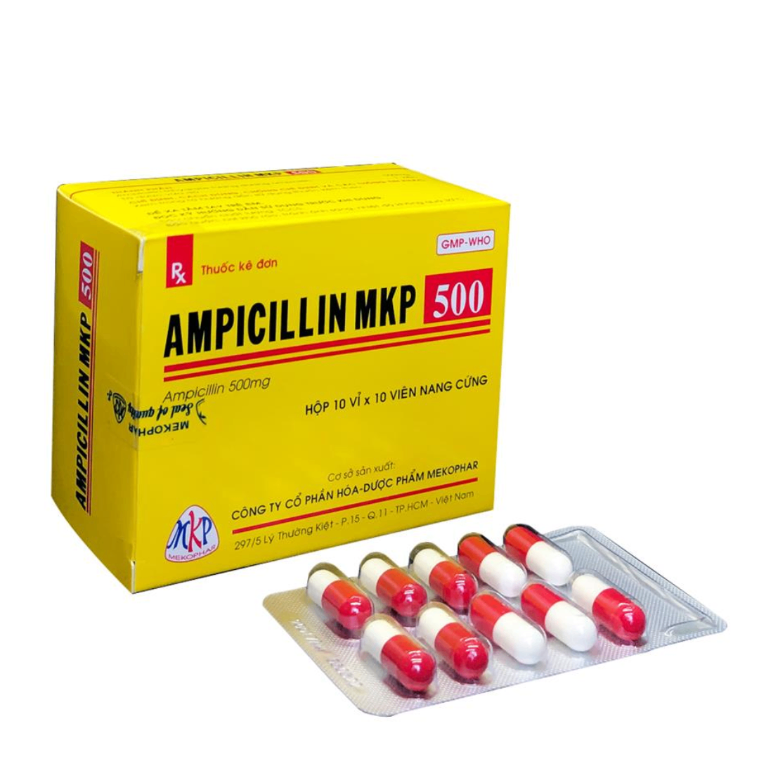 1419. Ampicillin 500 Vna - (Ampicilin 500mg) - [Thùng 75 Hộp; Hộp 10 Vỉ; Vỉ 10 Viên] Mekophar - Việt Nam