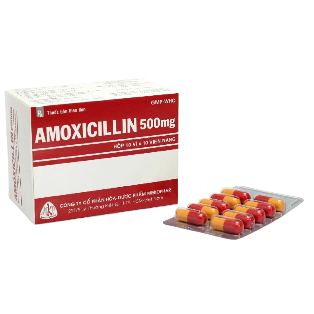 1420. Amoxicillin 500 Vna - (Amoxicillin 500mg) - [Thùng 48 Hộp; Hộp 10 Vỉ; Vỉ 10 Viên] Mekophar - Việt Nam