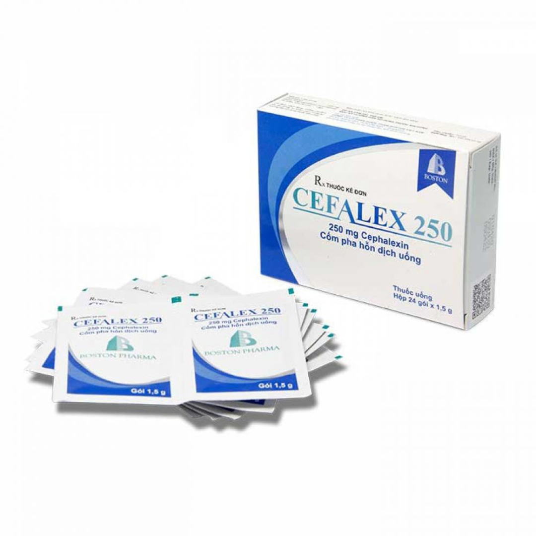 1667. Cefalex 250 - (Cefalexin 250mg) - [Thùng 70 Hộp; Hộp 24 Gói; Gói 1.5 G] Bostonpharma - Việt Nam