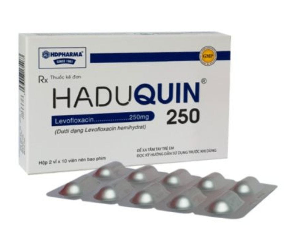 2947. (KSĐB) Haduquin 250 - (Levofloxacin 250mg) - [Thùng 180 Hộp; Hộp 2 Vỉ; Vỉ 10 Viên] Hải Dương - Việt Nam