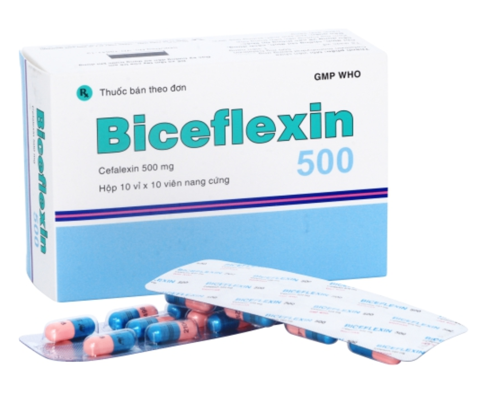 3362. Biceflexin 500 - (Cefalexin 500mg) - [Thùng 48 Hộp; Hộp 10 Vỉ; Vỉ 10 Viên] Bidiphar - Việt Nam
