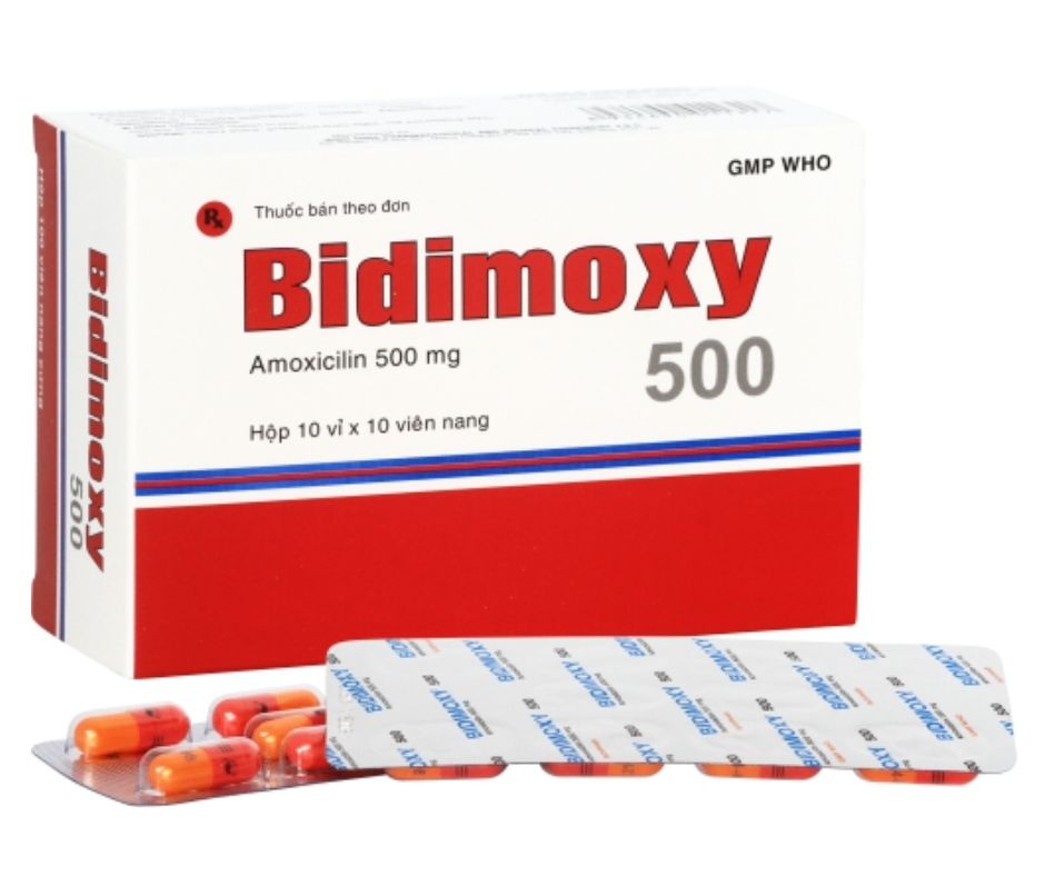 3366. Bidimoxy 500 - (Amoxicilin 500mg) - [Thùng 48 Hộp; Hộp 10 Vỉ; Vỉ 10 Viên] Bidiphar - Việt Nam
