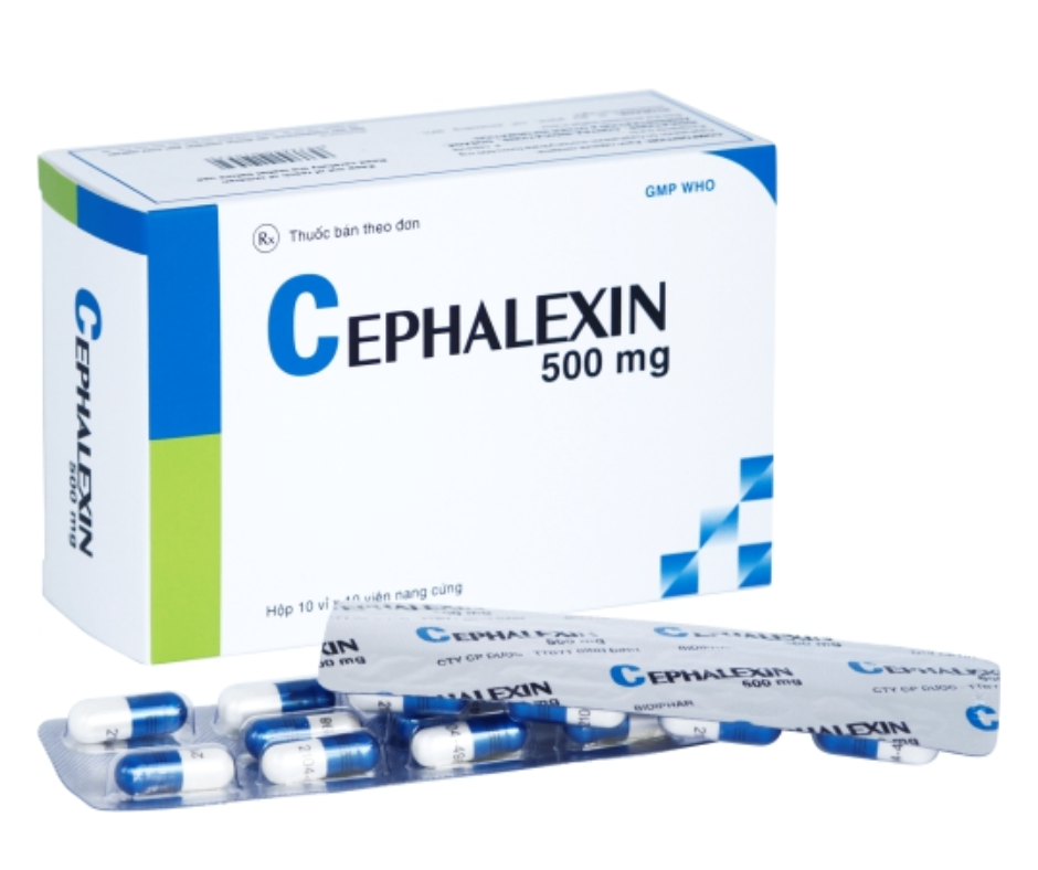3371. Cephalexin 500Mg (Vỉ Dài) - (Cephalexin 500mg) - [Thùng 48 Hộp; Hộp 10 Vỉ; Vỉ 10 Viên] Bidiphar - Việt Nam