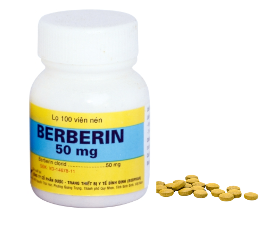 3399. Berberin 50Mg - (Berberin clorid 50mg) - [Thùng 350 Chai; Chai 100 viên] Bidiphar - Việt Nam