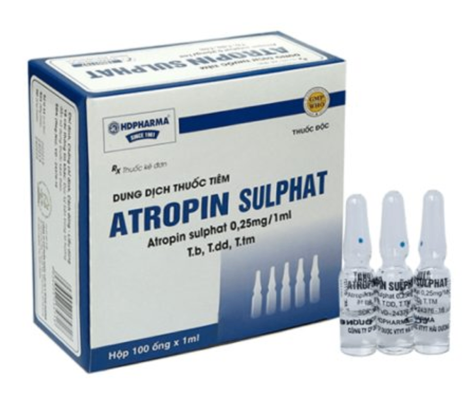 2951. Atropin Sulfat - (Atropin sulfat 0.25mg/1ml) - [Thùng 36 Hộp; Hộp 100 ống; ống 1 Ml] Hải Dương - Việt Nam