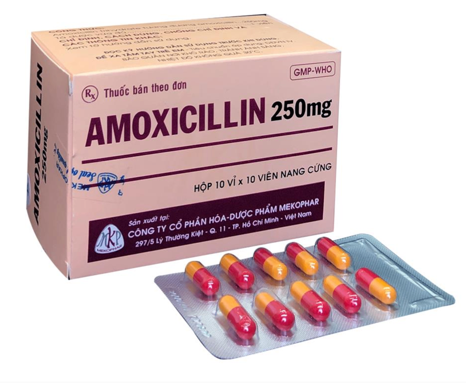 1864. Amoxicillin 250 - (Amoxicilin 250mg) - [Thùng 54 hộp; hộp 10 vỉ; vỉ 10 viên] Mekophar - Việt Nam