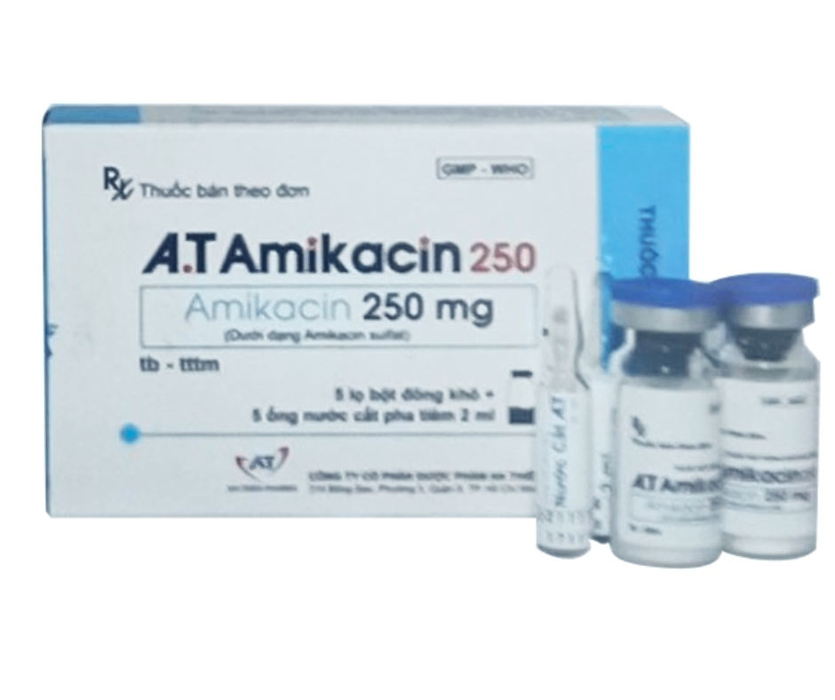 4158. A.t Amikacin 250 - (Amikacin (dưới dạng amikacin sulfat) 250mg/2ml) - [Thùng 96 Hộp; Hộp 5 Lọ] An Thiên - Việt Nam