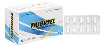 4653. Tributel - (Trimebutine maleate 200mg) - [Thùng 140 Hộp; Hộp 10 Vỉ; Vỉ 10 Viên] Davipharm - Việt Nam
