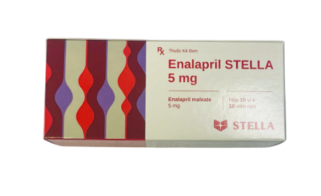 5298. Enalapril - (Enalapril maleate 5mg) - [Thùng 336 Hộp; Hộp 10 Vỉ; Vỉ 10 Viên] Stella - Việt Nam