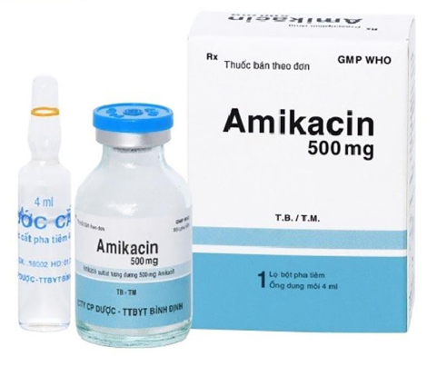 5322. Amikacin 500Mg/100Ml - (Amikacin 500mg) - [Thùng 168 lọ; lọ 1 hộp] Bidiphar - Việt Nam