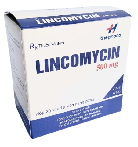 5449. Lincomycin 500 - (Lincomycin 500mg) - [Thùng 48 Hộp; Hộp 20 Vỉ; Vỉ 10 Viên] Thanh Hóa - Việt Nam