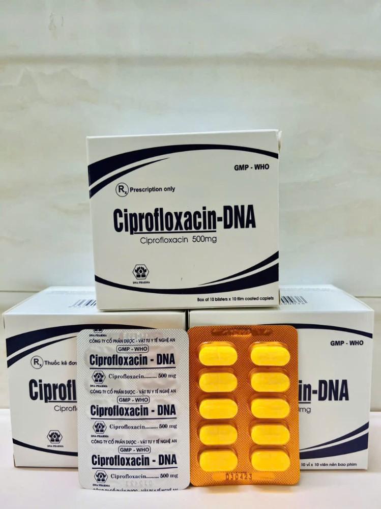 5795. (KSĐB) Ciprofloxacin-DNA - (Ciprofloxacin 500mg) - [Thùng 100 Hộp; Hộp 10 Vỉ; Vỉ 10 Viên] DNA Pharma - Việt Nam