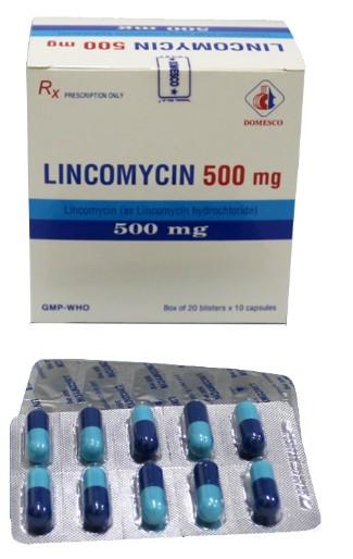 5975. Lincomycin 500mg - (Lincomycin hydroclorid 500mg) - [Thùng 100 Hộp; Hộp 20 Vỉ; Vỉ 10 Viên] Domesco - Việt Nam