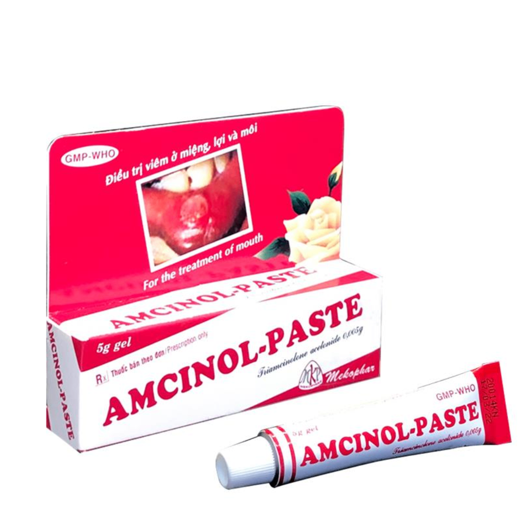 1395. Amcinol-Paste - (Triamcinolon acetonid 0.005g) - [Thùng 480 tube; tube 1 hộp; hộp 5 g] Mekophar - Việt Nam